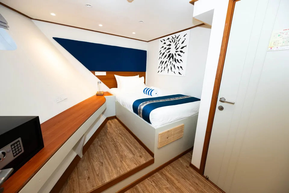 Lower Deck Single