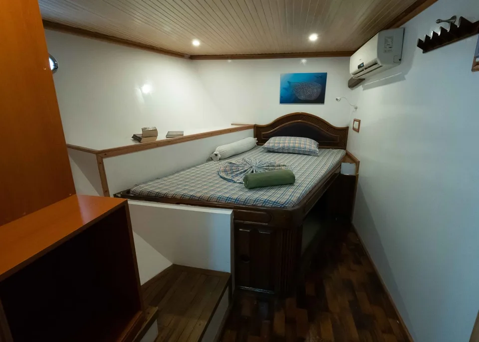 Lower Deck Single