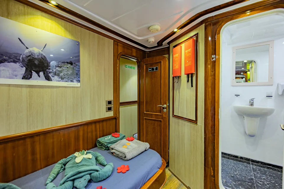 Superior Standard Lower Twin Room