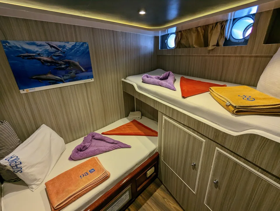 Superior Lower Deck Bunk Cabin 1